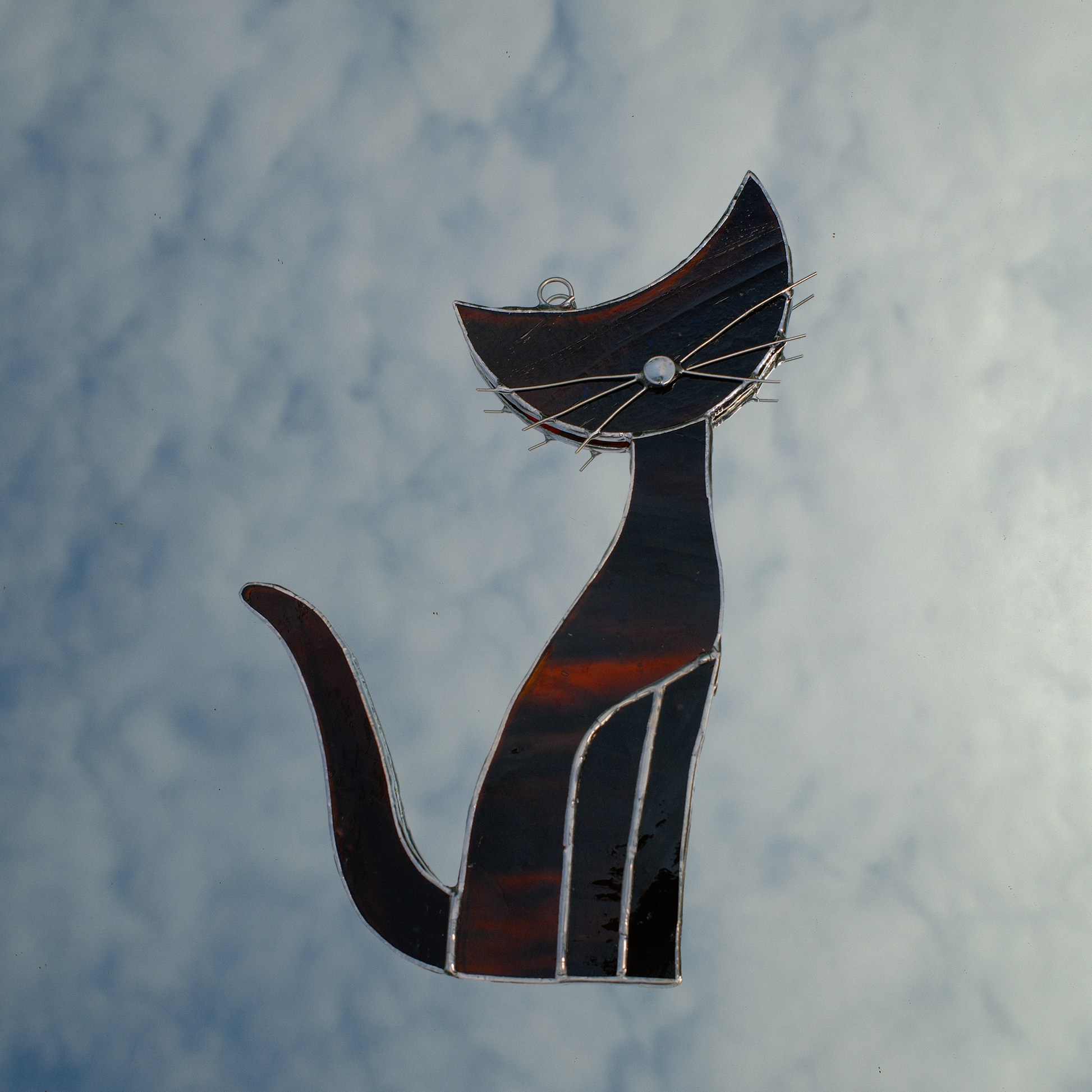 Window Cat