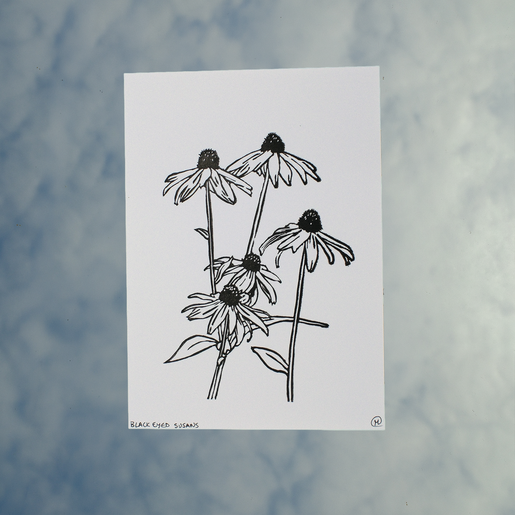 Black Eyed Susans Print