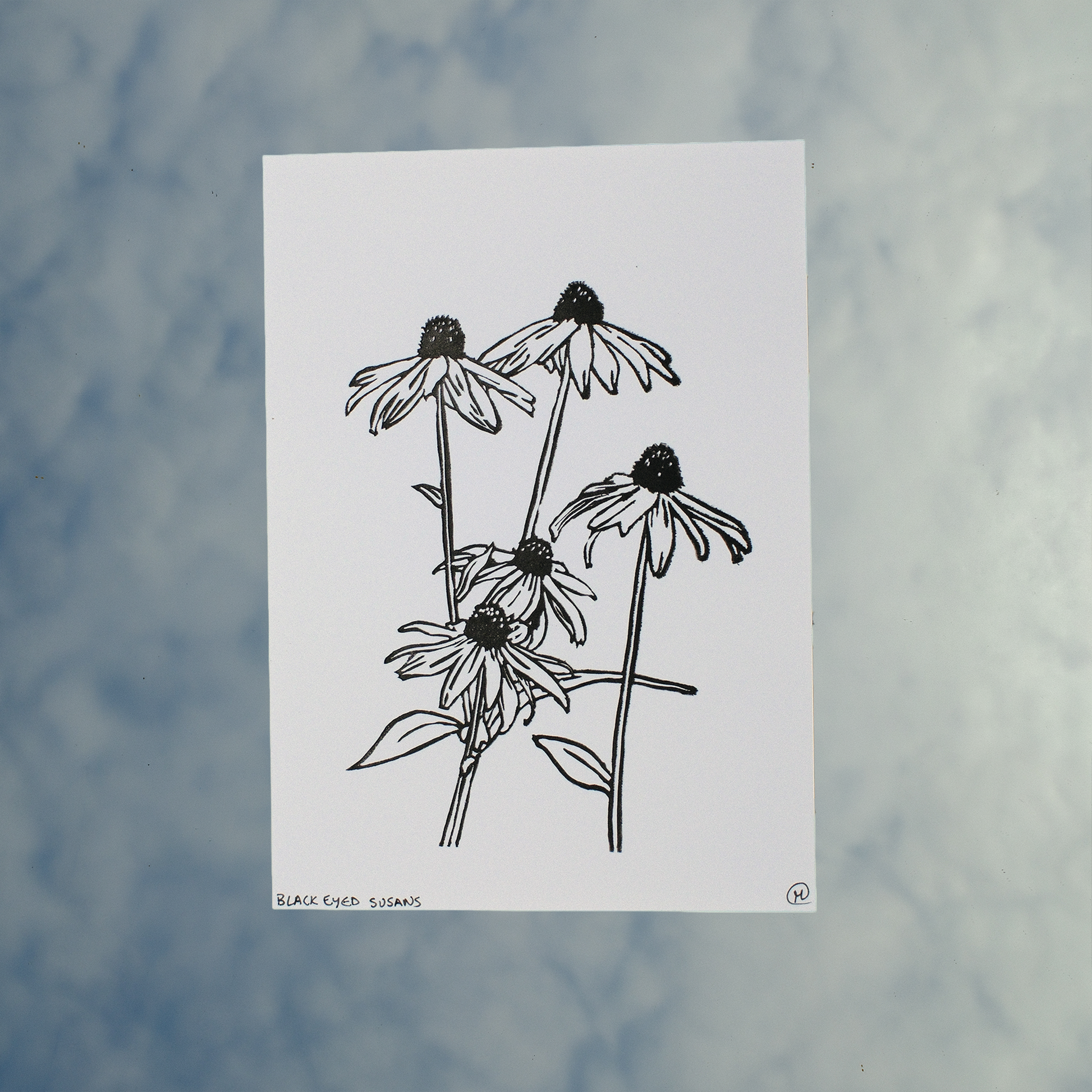 Black Eyed Susans Print