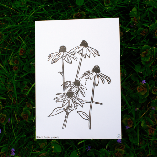 Black Eyed Susans Print
