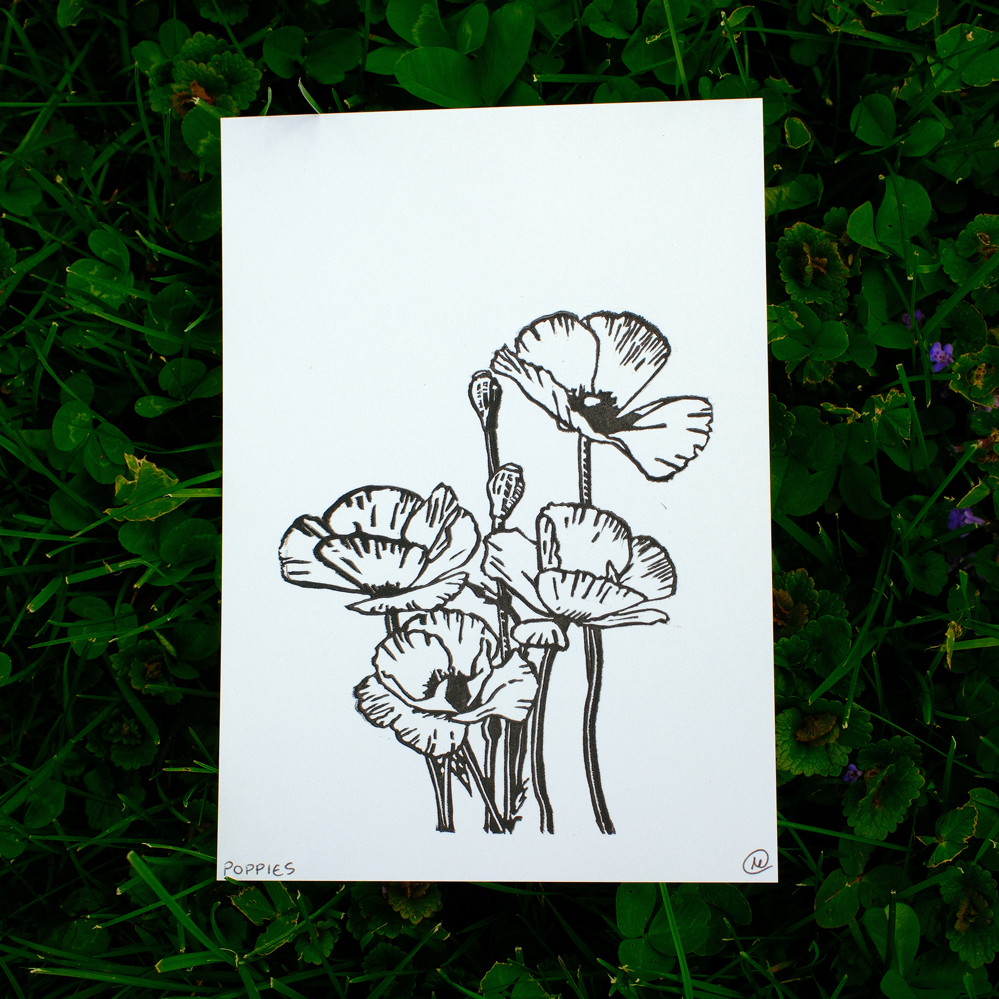 Poppies Print