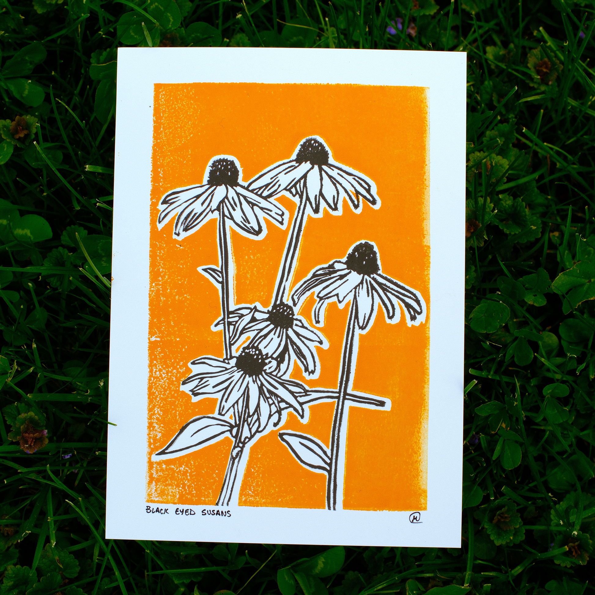Black Eyed Susans Print