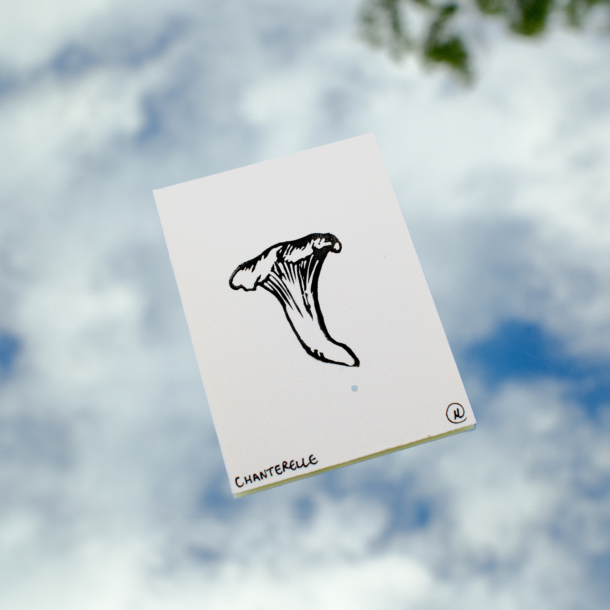 Mini Mushroom Print Set