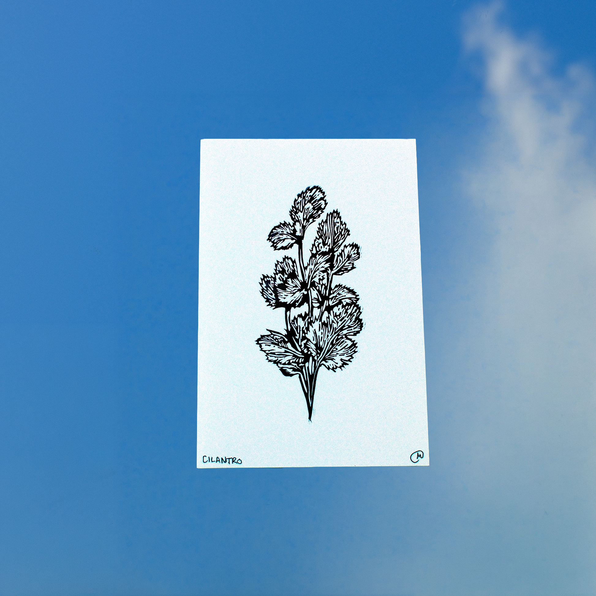 Cilantro Print