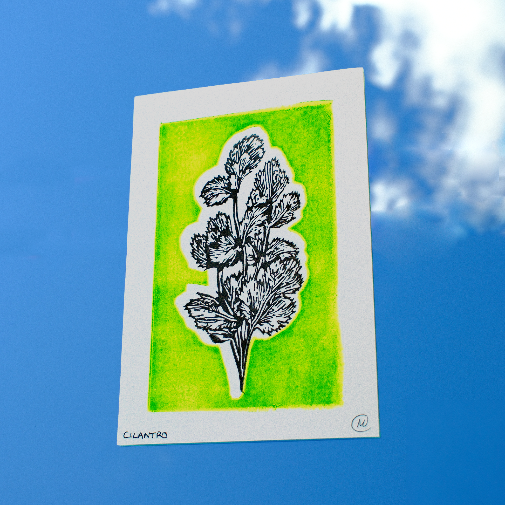 Cilantro Print