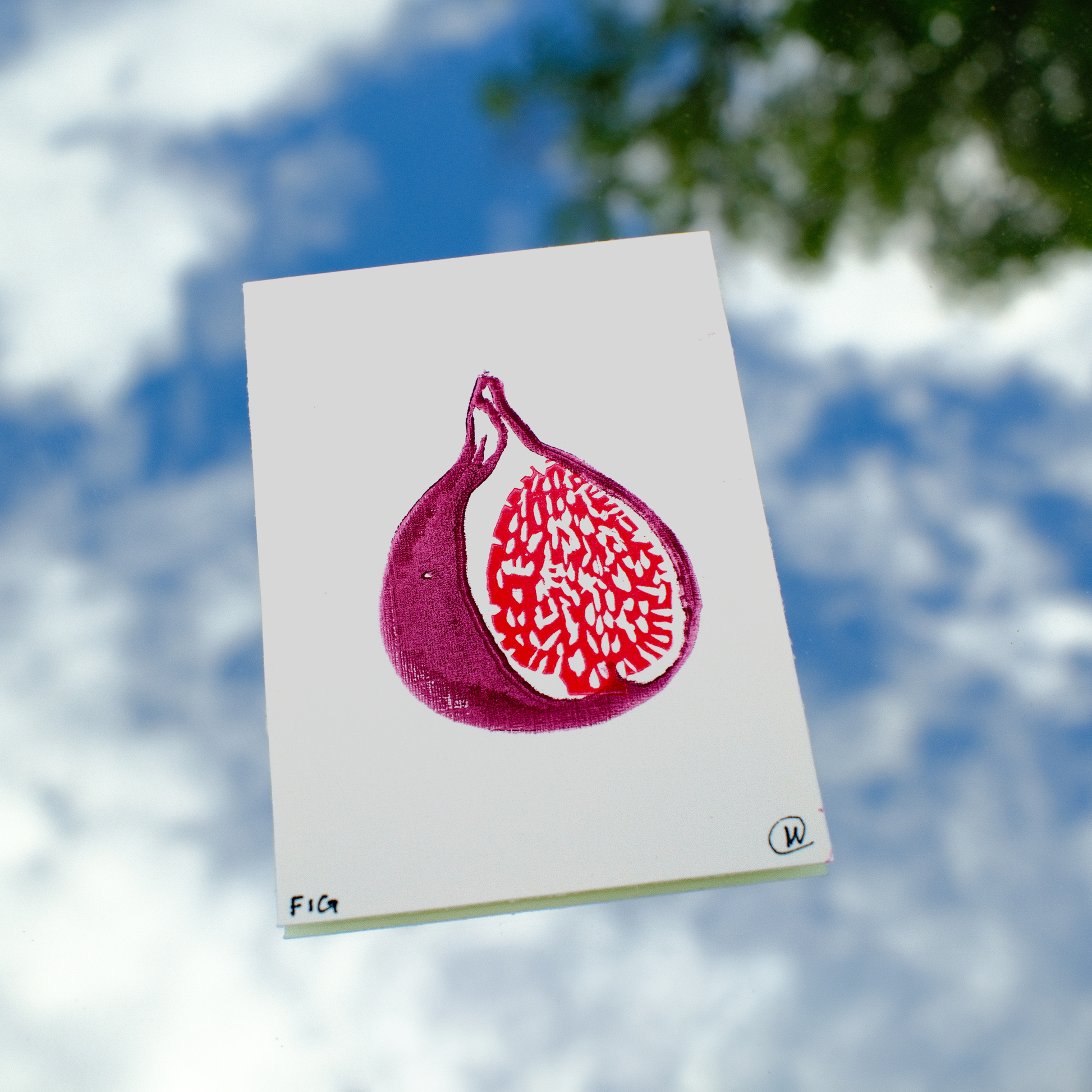 Mini Fruit Print Set