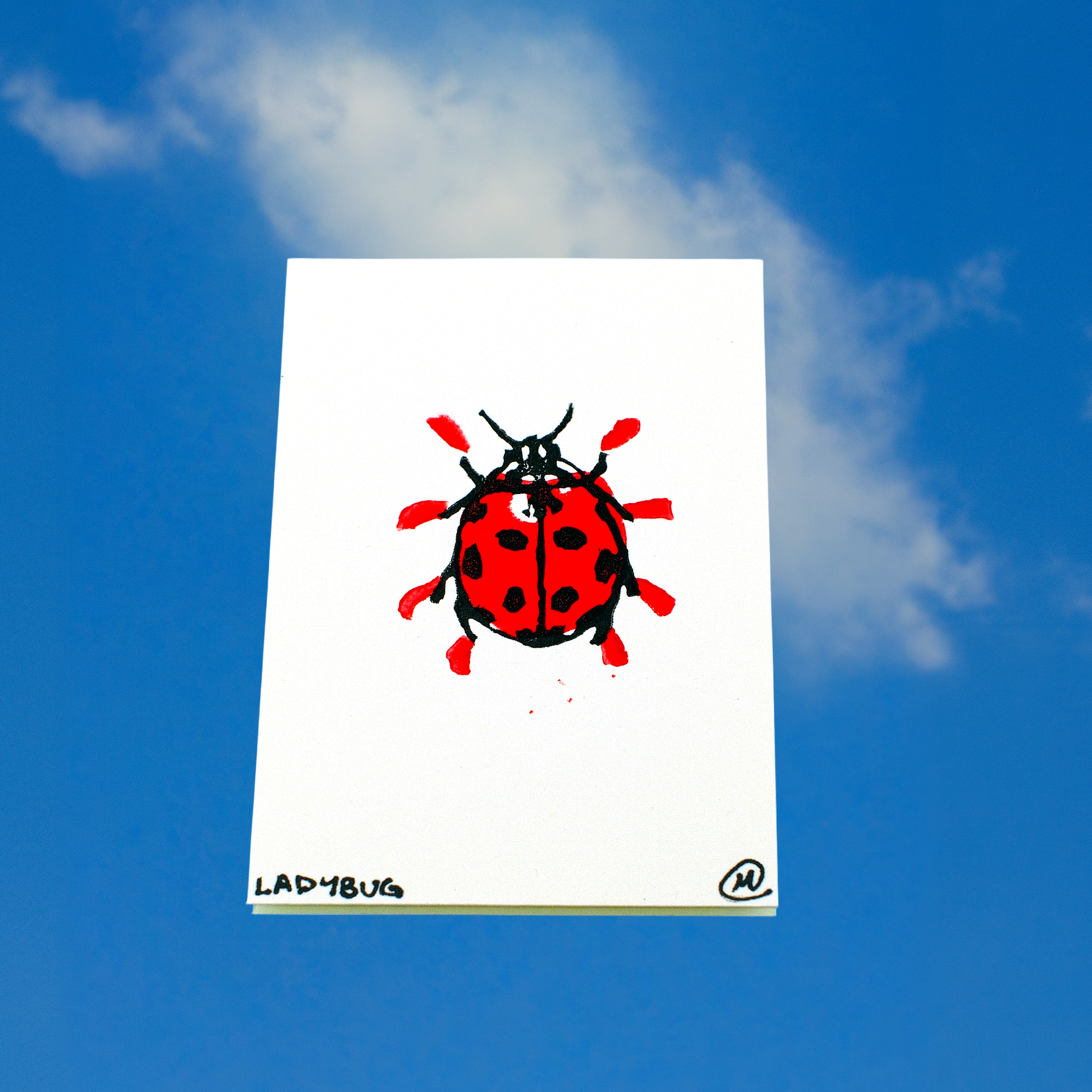 Mini Critter Print Set
