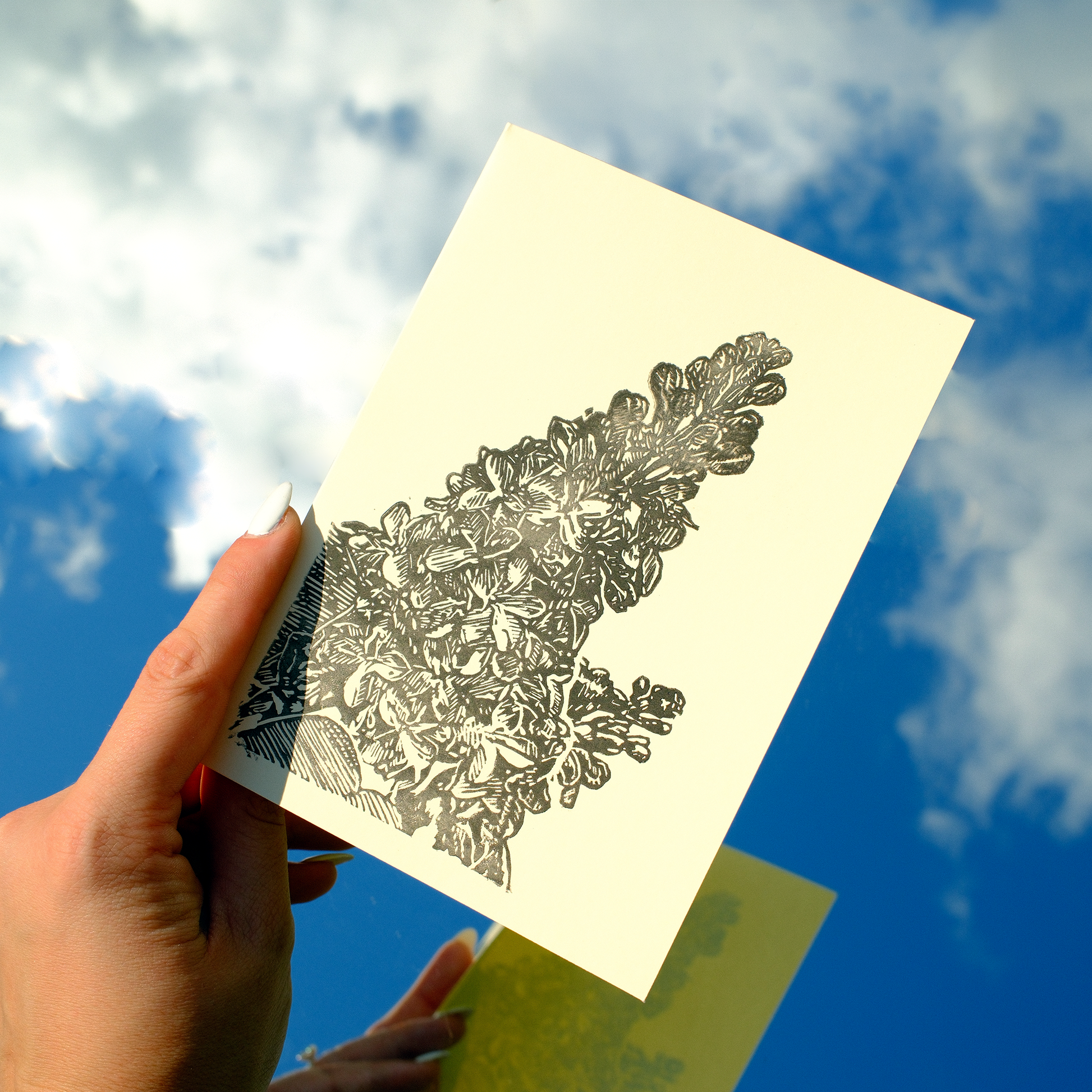 Blank Floral Greeting Card