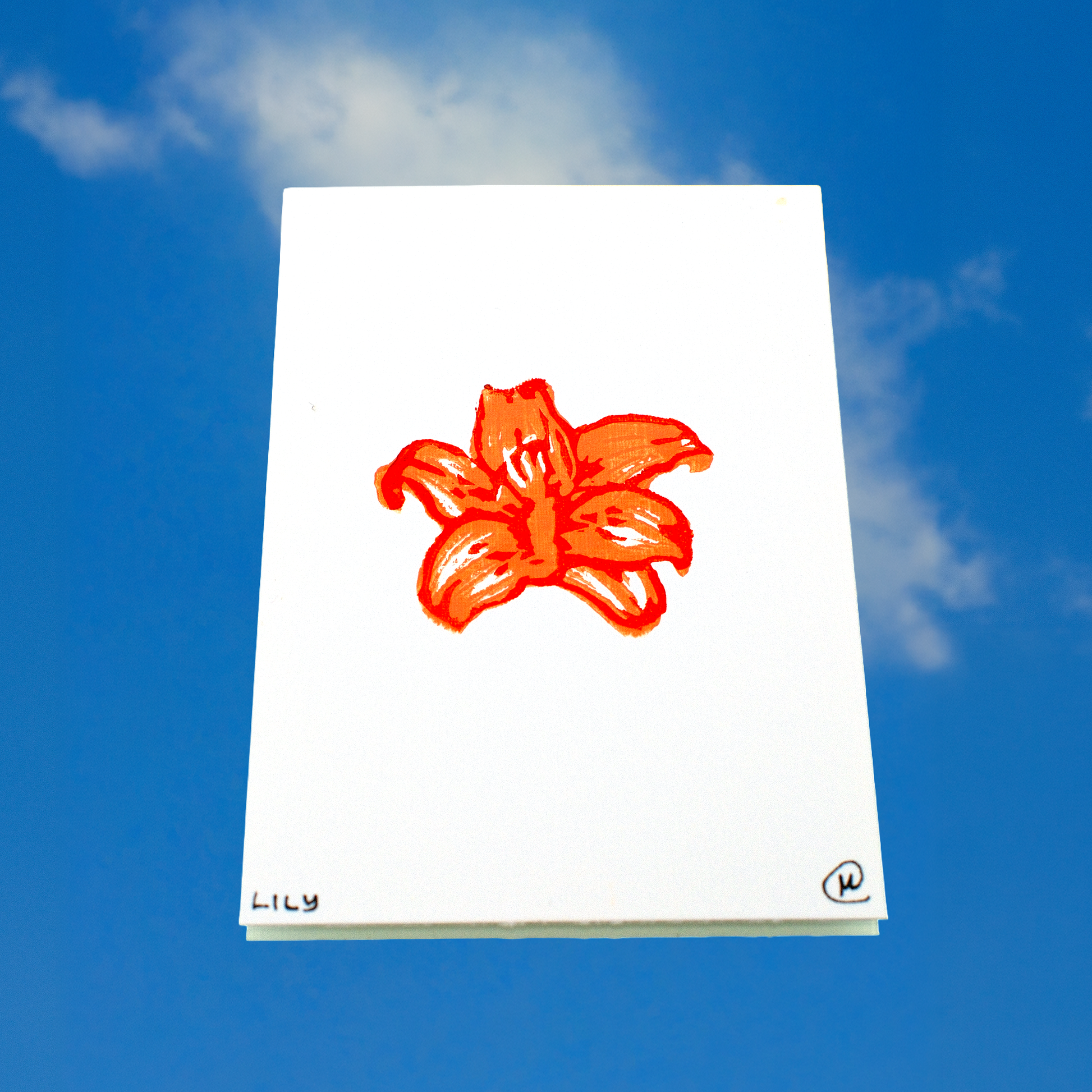 Mini Flower Print Set