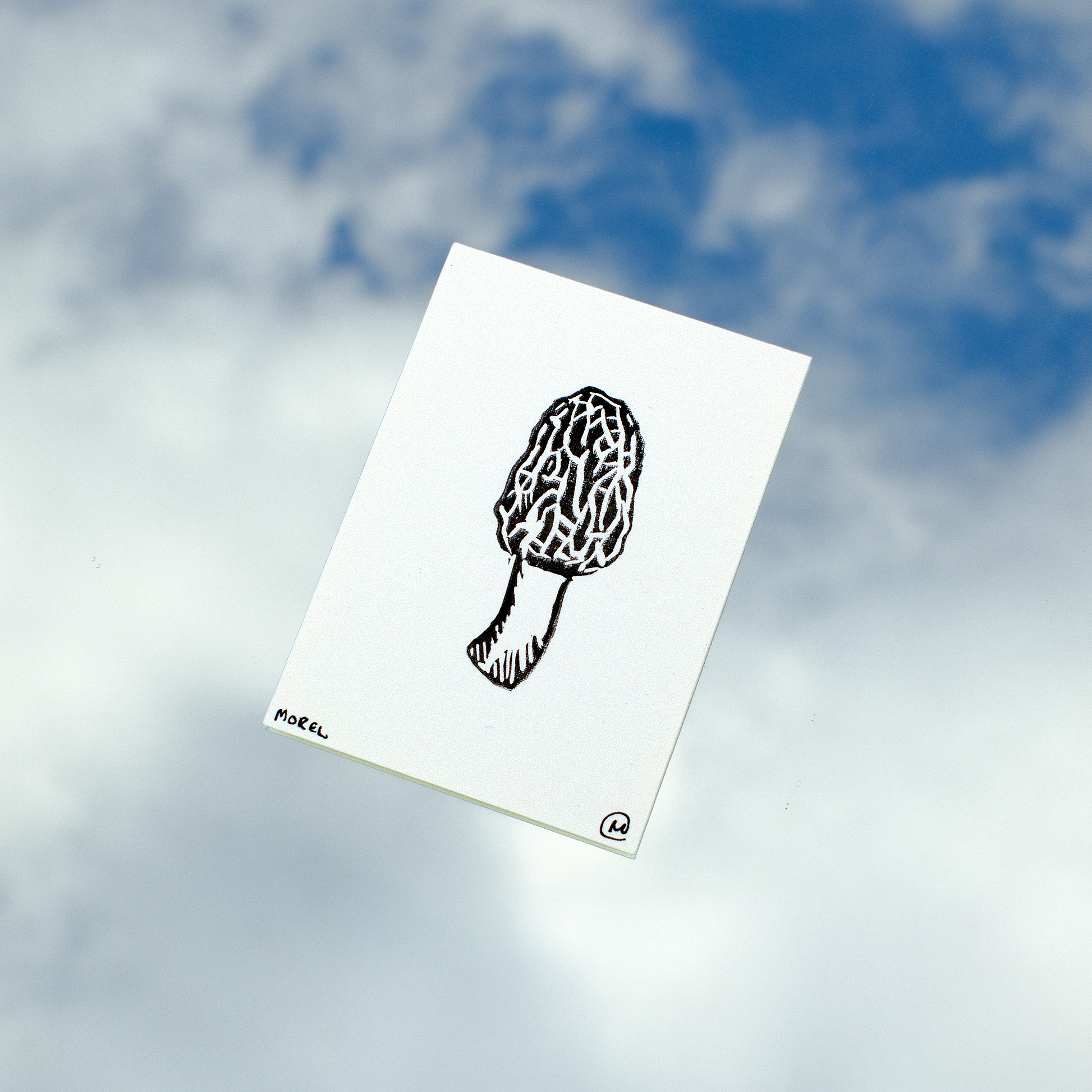 Mini Mushroom Print Set
