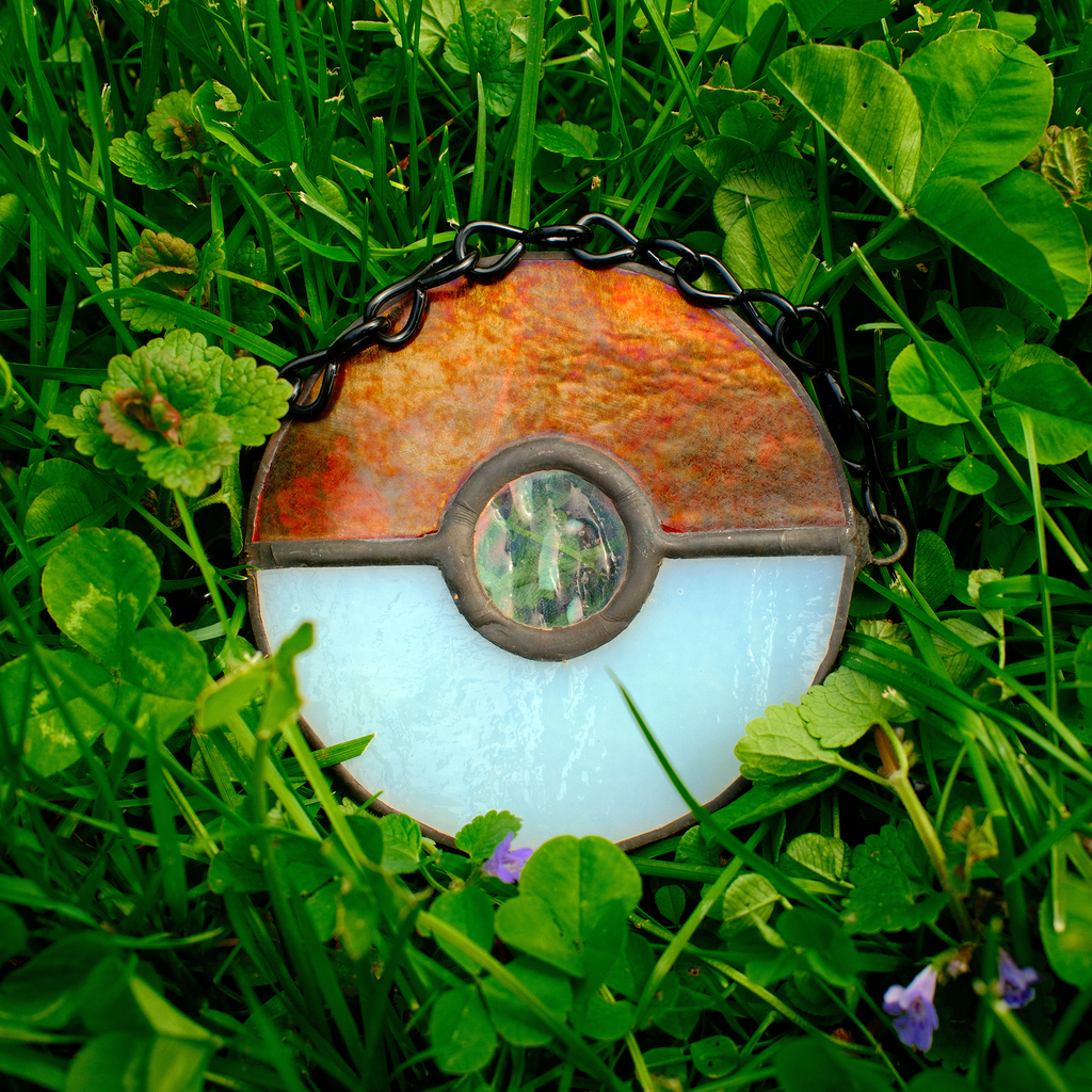 The Window Pokéball