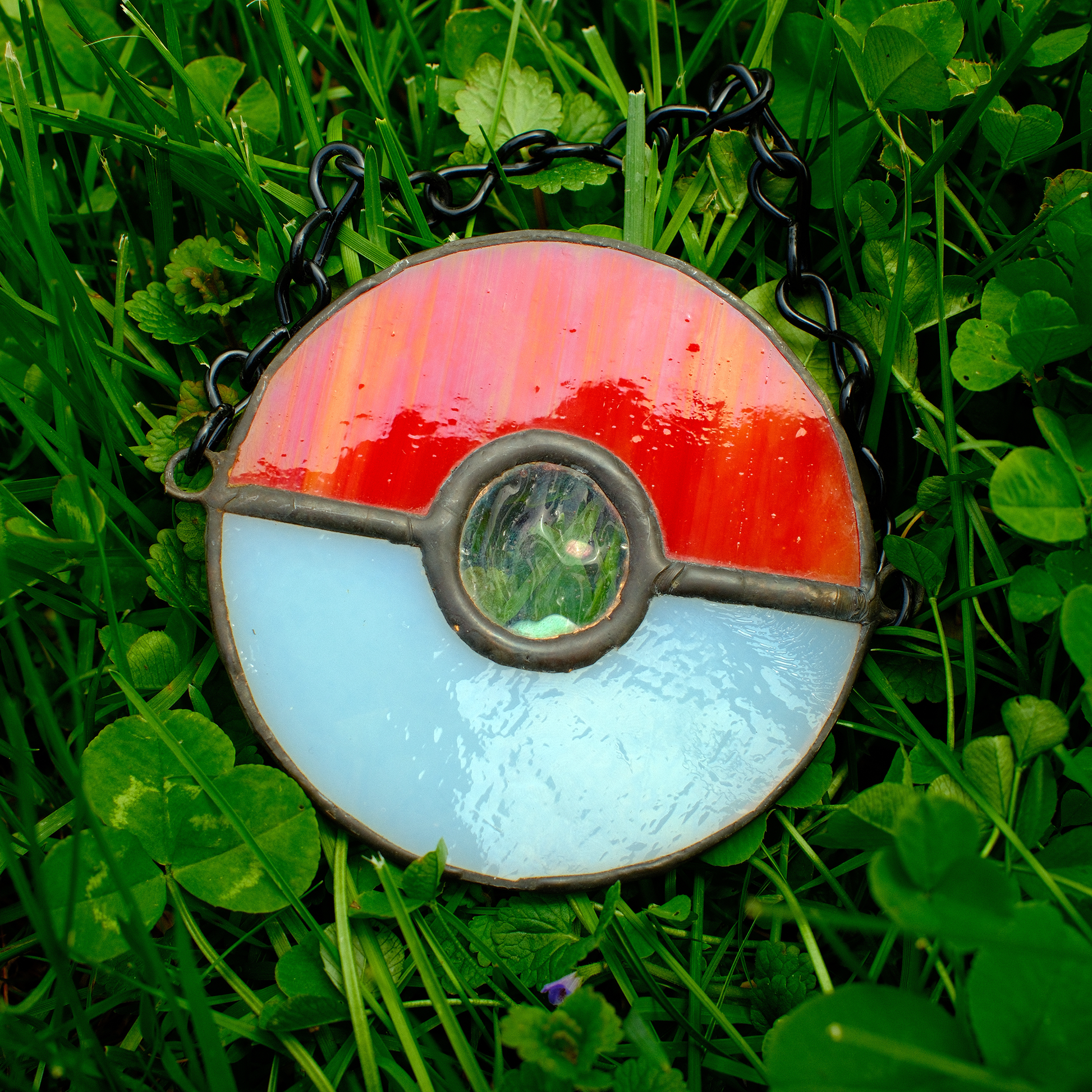 The Window Pokéball