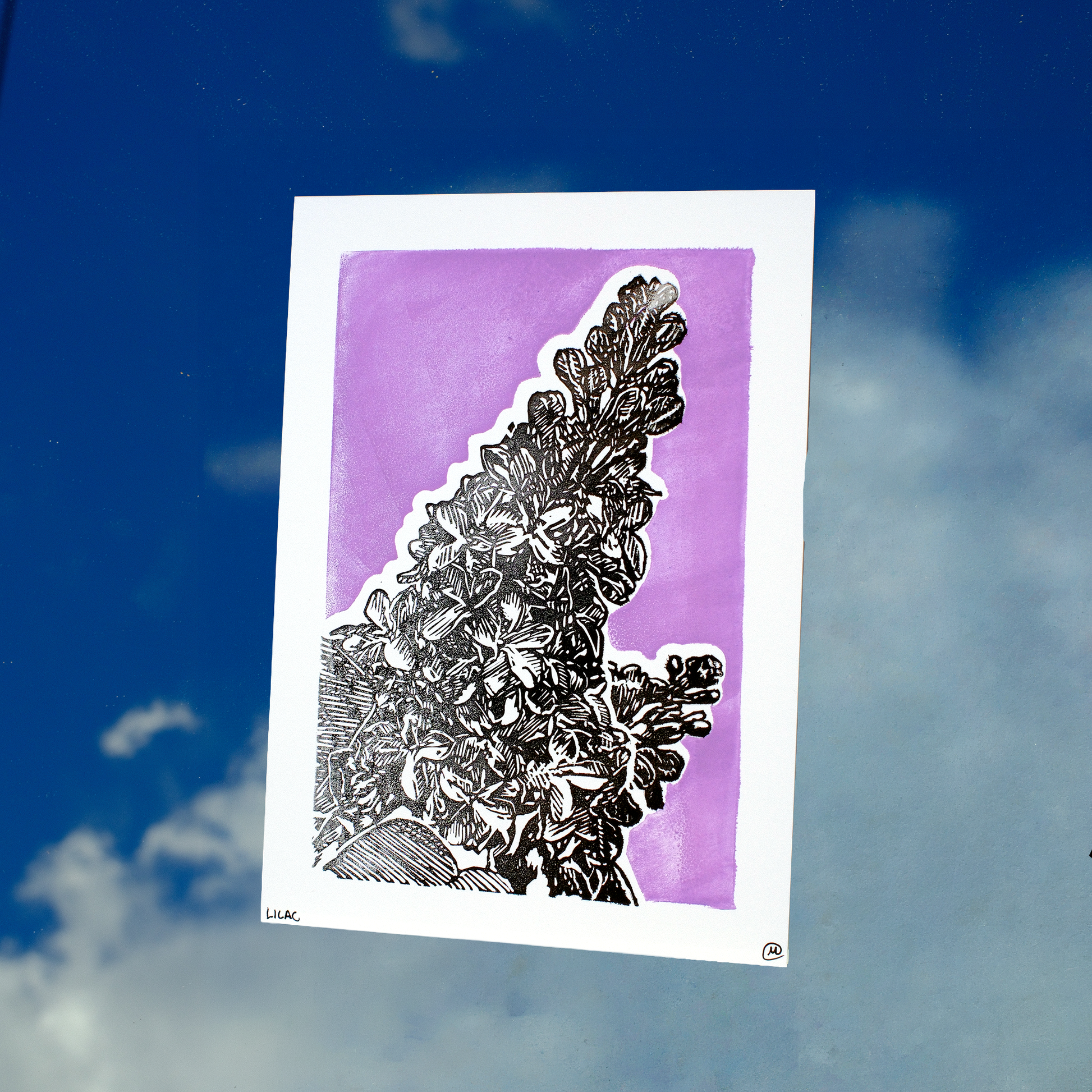 Lilac Print