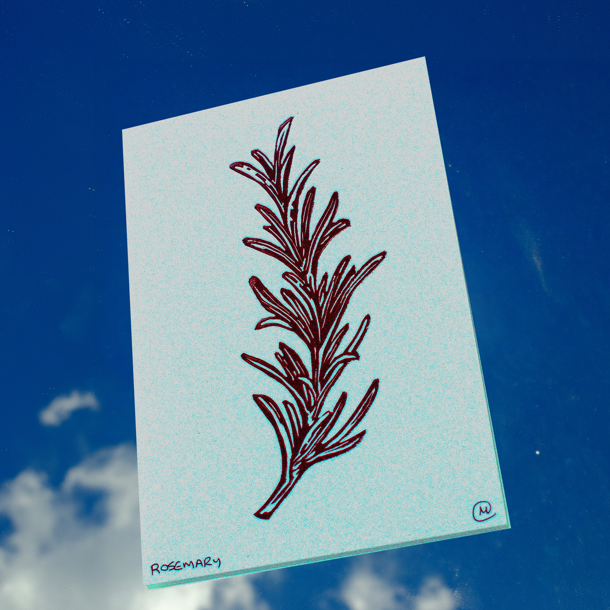 Rosemary Print