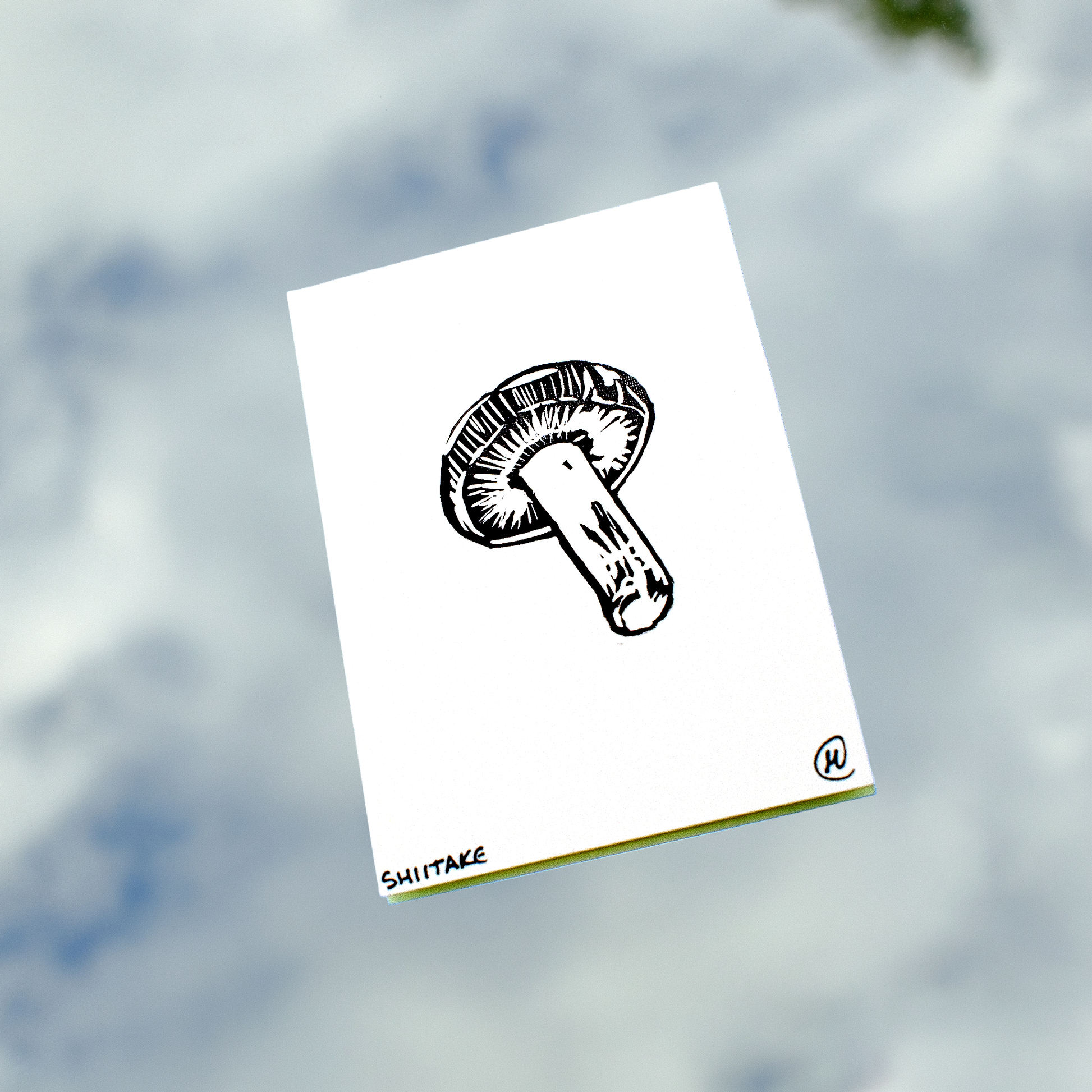 Mini Mushroom Print Set