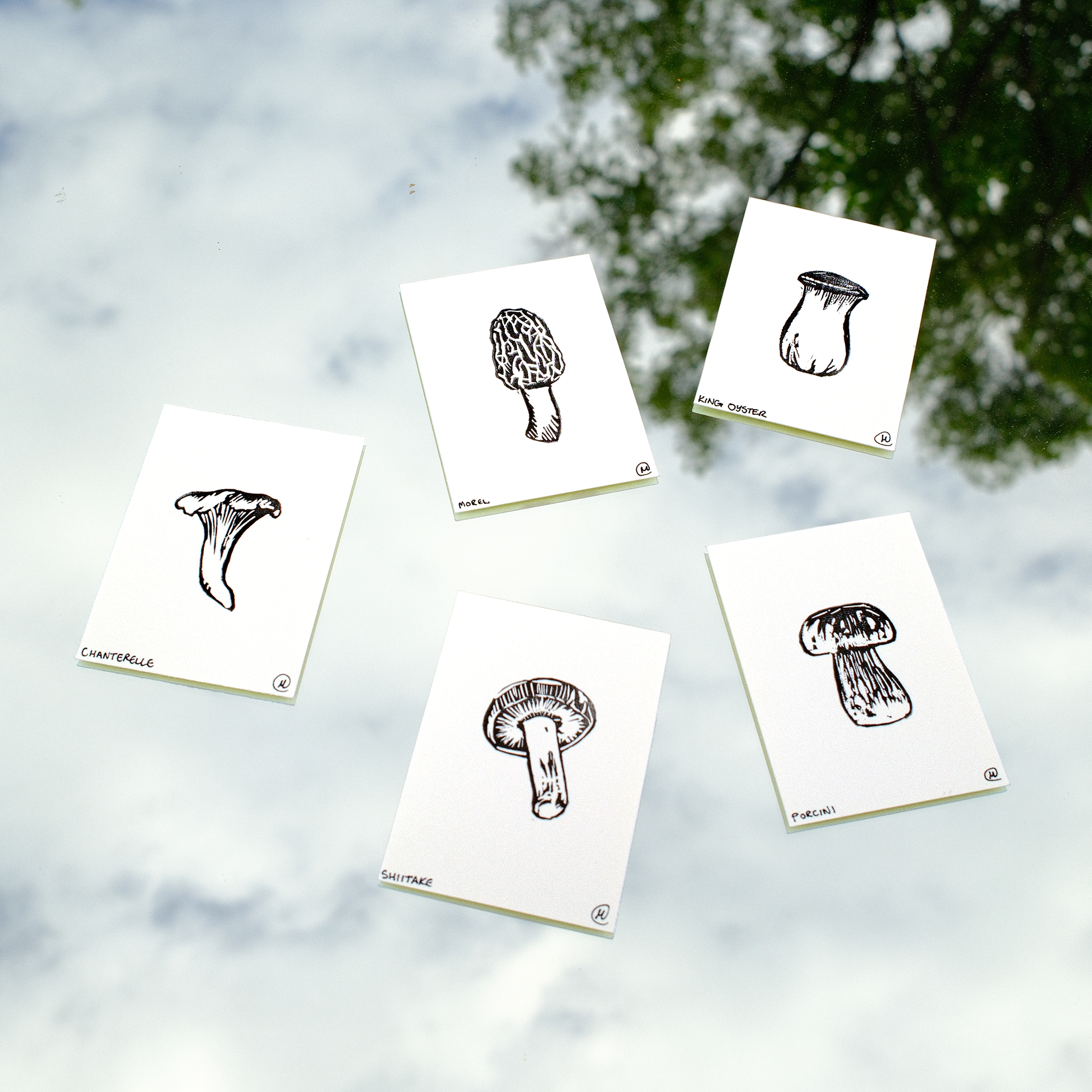 Mini Mushroom Print Set