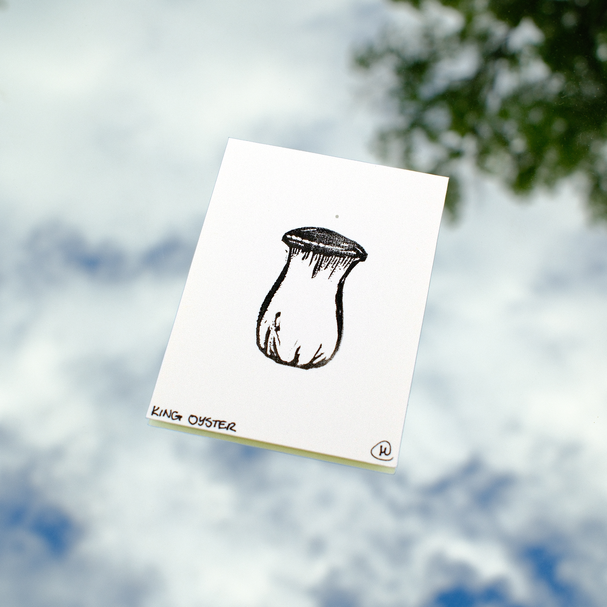 Mini Mushroom Print Set